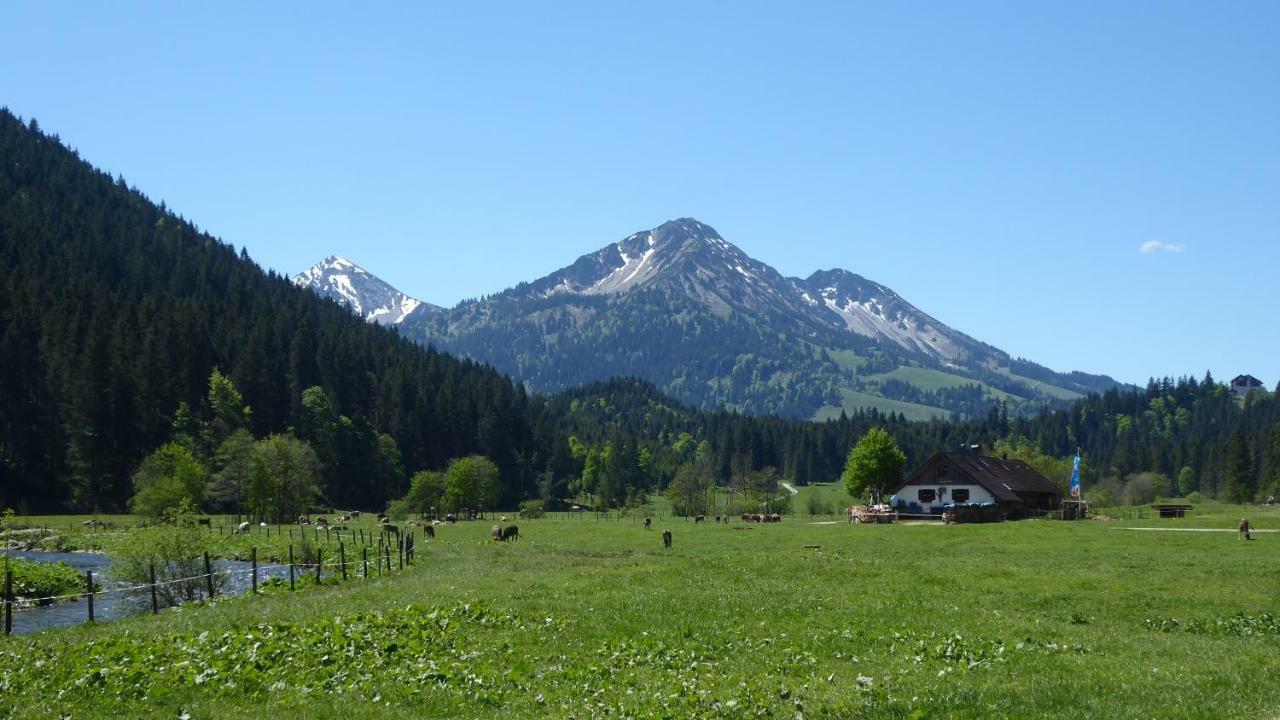 Fw Weissensee Appartement